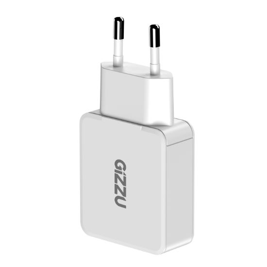 Picture of Gizzu 2-Port 45W GaN Wall Charger