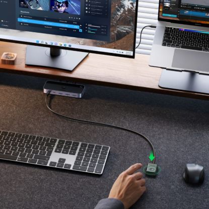 Picture of UGREEN Sharing Switch Box 2-in-4 Out