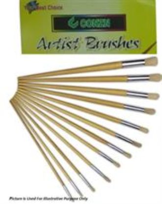 Picture of Brainware Artist 12 Nylon Brush Set