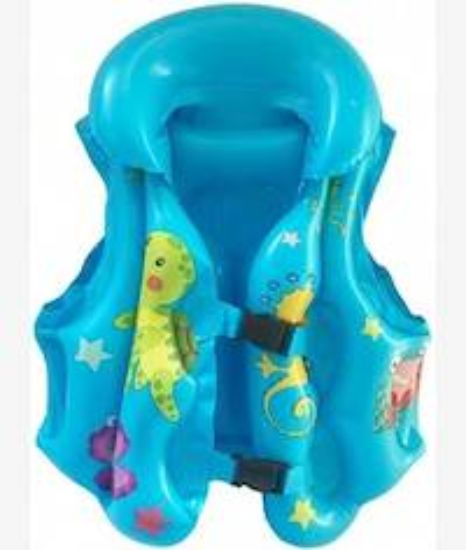 Picture of Casey Kids Medium Inflatable Swimming Vest Blue