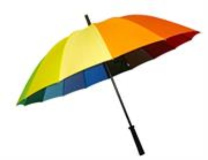 Picture of Casey Handheld Large Umbrella Multicolor