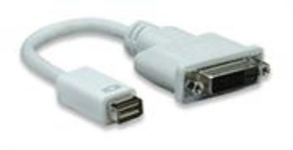 Picture of Manhattan Mini DVI 32P to DVI 25F Cable