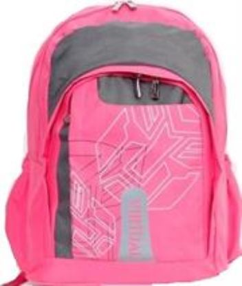 Picture of Macaroni Pink and Grey Scolaro Student Backpack
