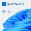 Picture of Microsoft Windows 11 Home DVD Single User License