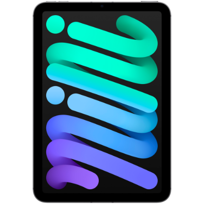 Picture of APPLE iPad mini Wi-Fi + Cellular 512GB - Space Grey,Model A2995