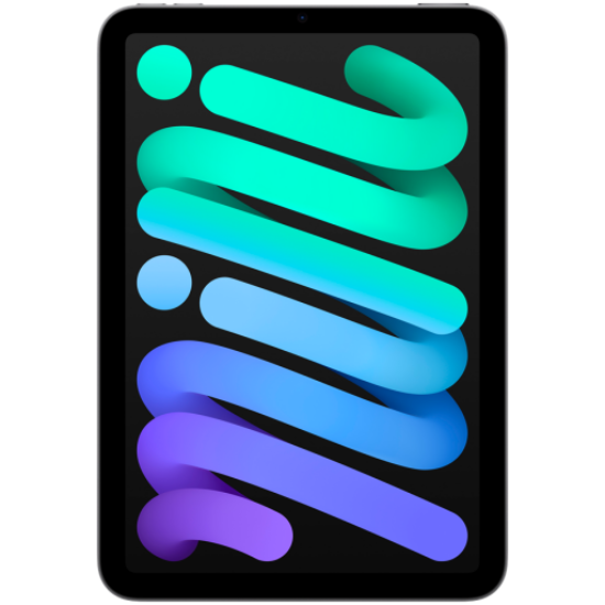 Picture of APPLE iPad mini Wi-Fi 512GB - Space Grey,Model A2993