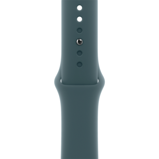 Picture of APPLE 42mm Lake Green Sport Band - M/L