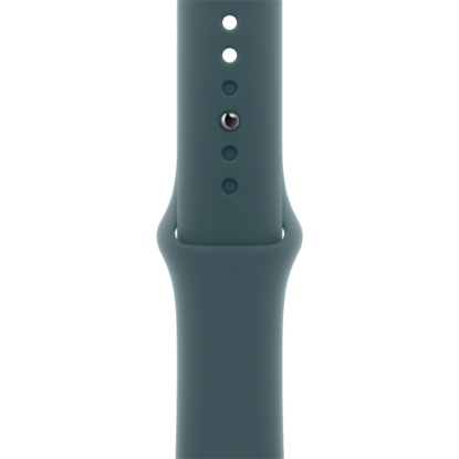 Picture of APPLE 42mm Lake Green Sport Band - S/M