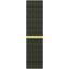 Picture of APPLE 41mm Cypress Sport Loop