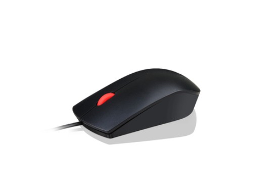 Picture of LENOVO ESSENTIAL USB MOUSE 1 YEAR CIW