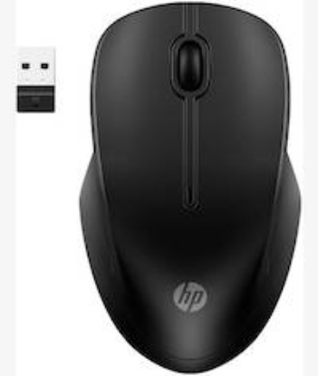 Picture of HP 255 Dual Wireless Mouse
