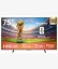 Picture of Hisense 75 Inch A6Q Ultra HD Smart TV
