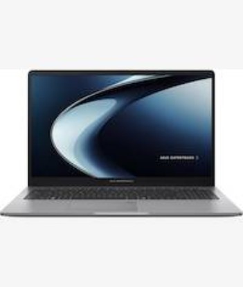 Picture of Asus ExpertBook P1 PM1503 AMD Ryzen 5 Laptop